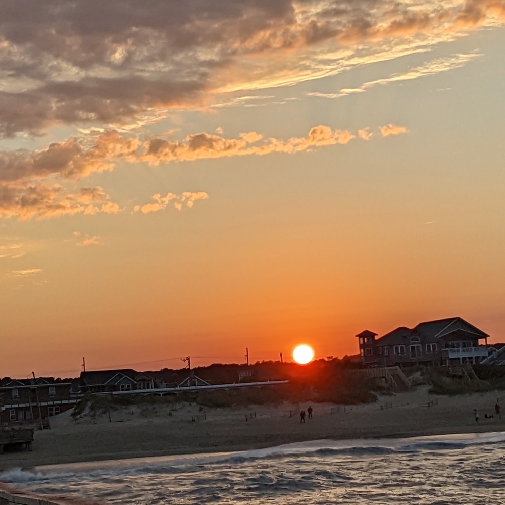 🧡❤️💗🐚Free Seashells🐚💖❤️🧡